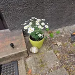 Beautiful In The Middle Of The With Own Parking - Applegarden - 5-6 Persons *