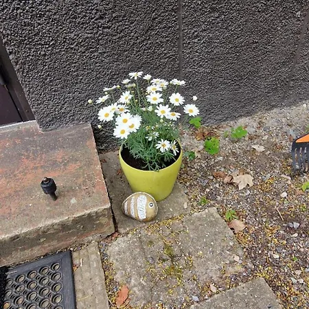 Beautiful In The Middle Of The With Own Parking - Applegarden - 5-6 Persons *