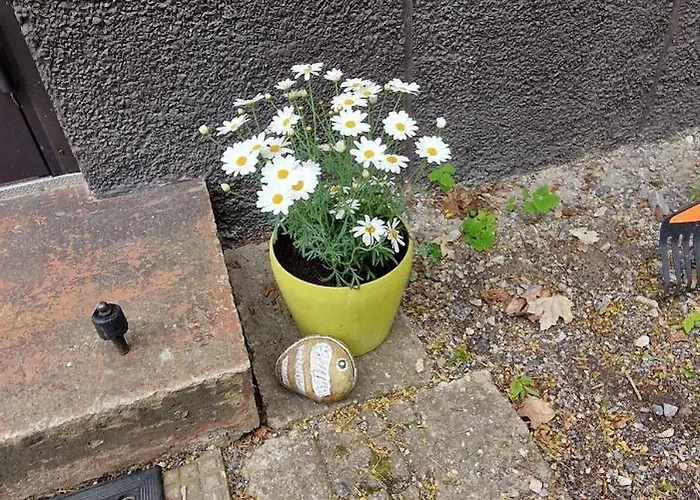 Beautiful In The Middle Of The With Own Parking - Applegarden - 5-6 Persons *